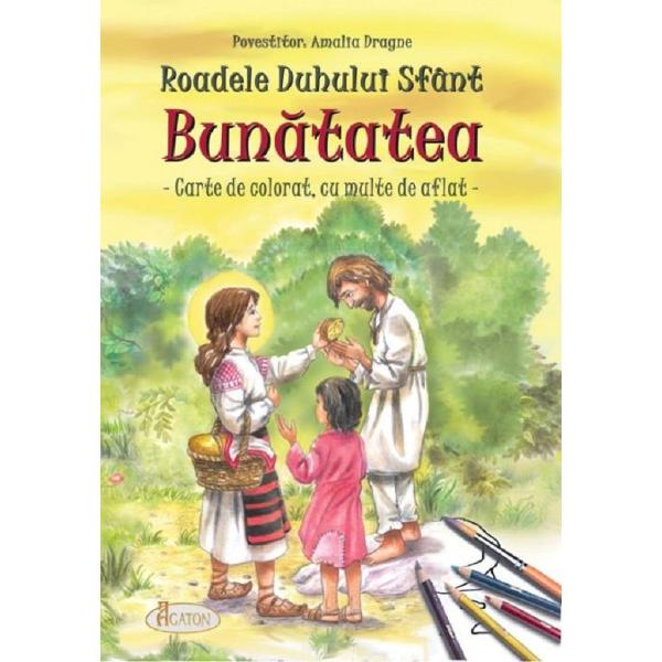 Roadele Duhului Sfant Vol.6: Bunatatea - Amalia Dragne