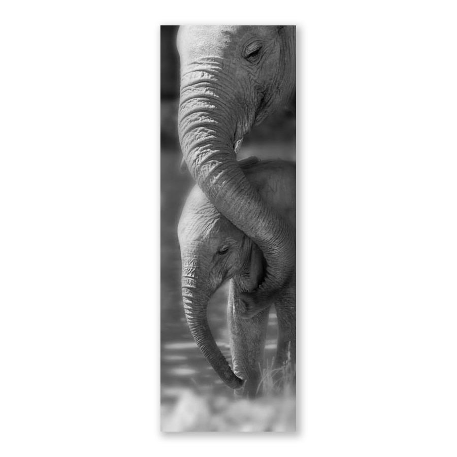 Tablou Canvas - Foto, Mama, Pui de Elefant, 30 x 90 cm