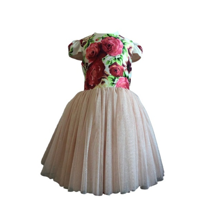 Rochita eleganta Antonia, pentru ocazii speciale, Satin/Tul, Multicolor