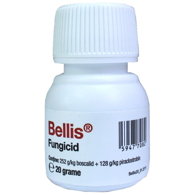 Fungicid Bellis, 20 ml