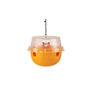 capcana decis trap pentru musca cireselor imagen 8_0_
0
