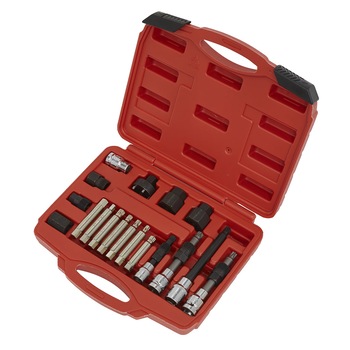 Set chei pentru service alternatoare, 13 piese, Sealey Set chei pentru service alternatoare, 13 piese, Sealey