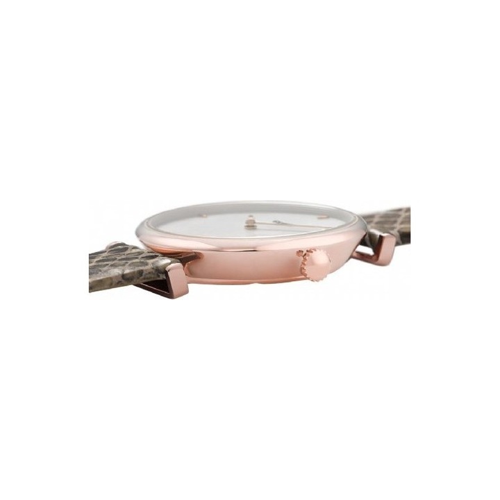 Karóra Cluse CL61007