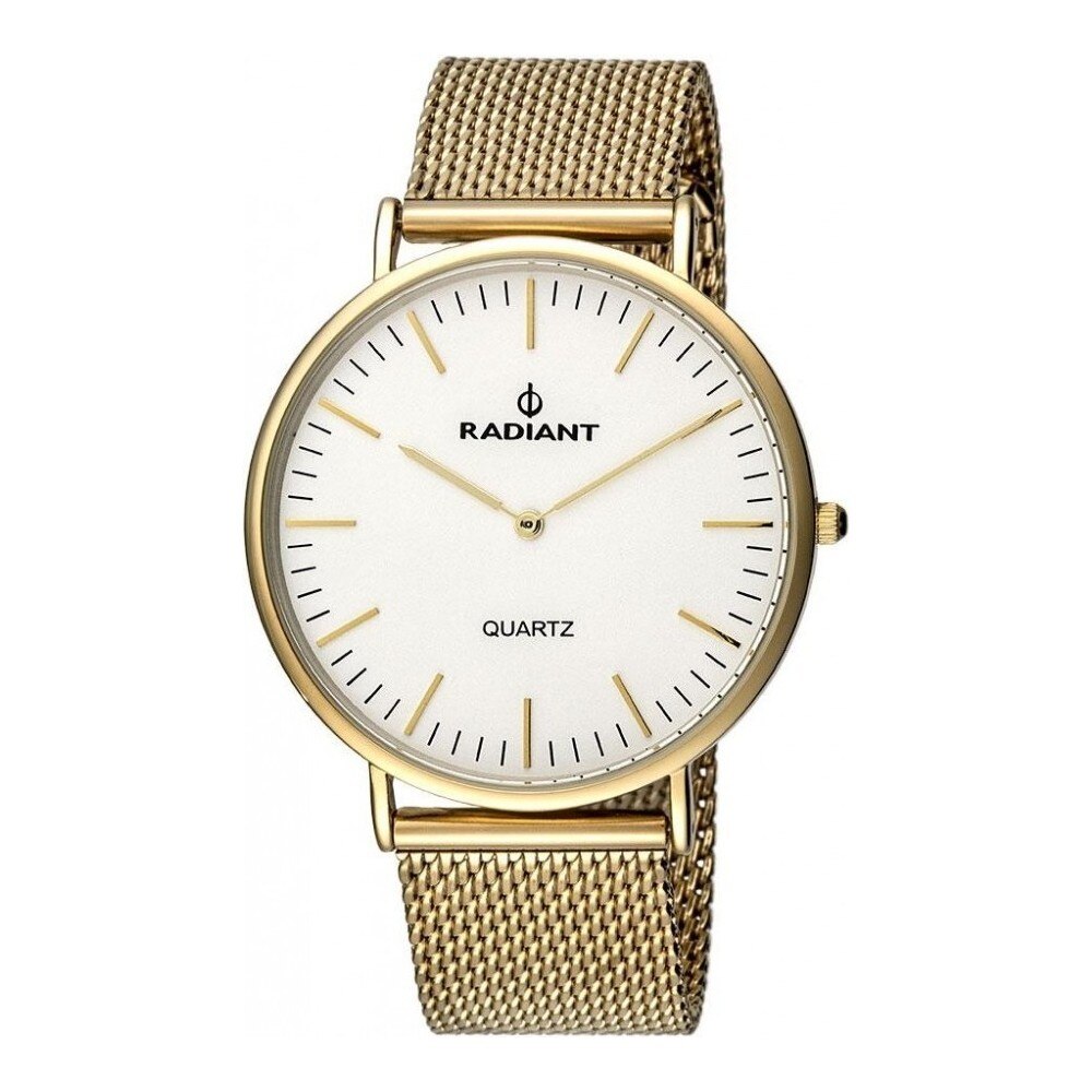 Ceas barbatesc Radiant RA377604