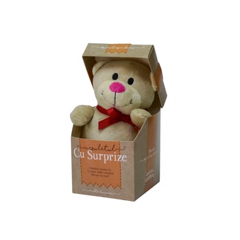 Urs Plus in cutie cu mesaj personalizat  Urs Plus in cutie cu mesaj personalizat