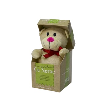 Urs Plus in cutie cu mesaj personalizat  Urs Plus in cutie cu mesaj personalizat