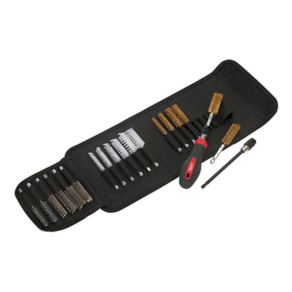 Set perii curatare, 20 piese, Sealey