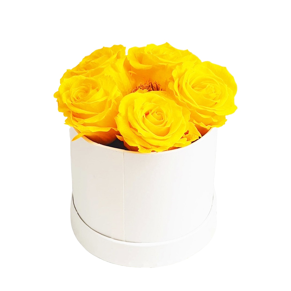 Cutie cu 5 trandafiri galbeni criogenati