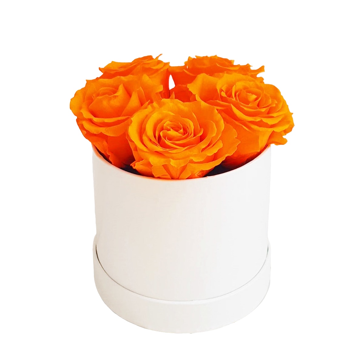 Cutie 5 trandafiri criogenati portocalii