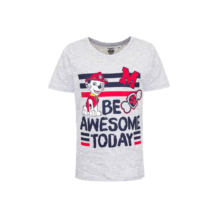 Тениска за момче, Paw Patrol, Marshall Be awesome today, сива, 6 години