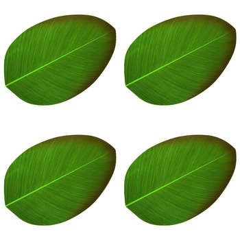 Set suport farfurie, Zola, 4 bucati model frunza 47x31 Set suport farfurie, Zola, 4 bucati model frunza 47x31