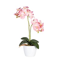 Aranjament Orhidee ROZ pal in ghiveci ceramic alb 50cm