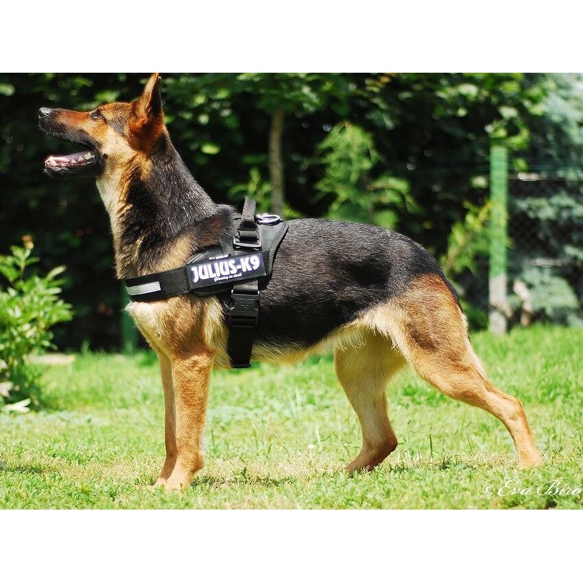 K9® Powerhám Baby 1 katonai mintás eMAG.hu