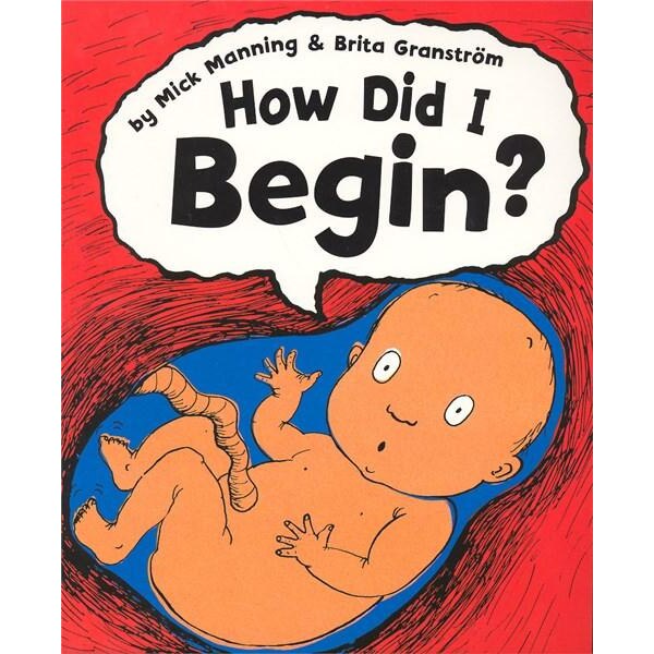How Did I Begin? - Mick ManningBrita Granstrom