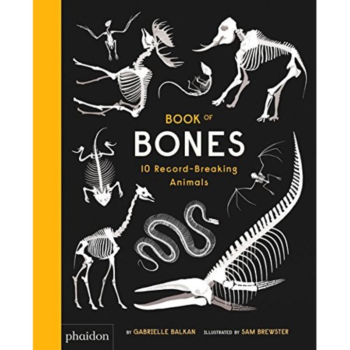Book of Bones - 10 Record-Breaking Animals - Gabrielle Balkan