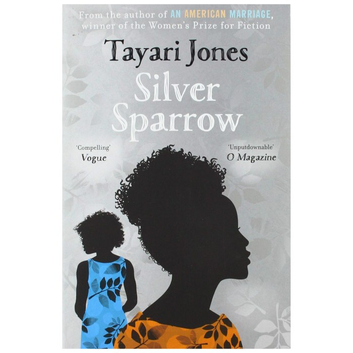Silver Sparrow (format mare) - Tayari Jones