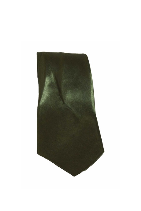 Cravata cu aspect matasos, verde kaki, 157 x 9 cm, CRV2, Vivo