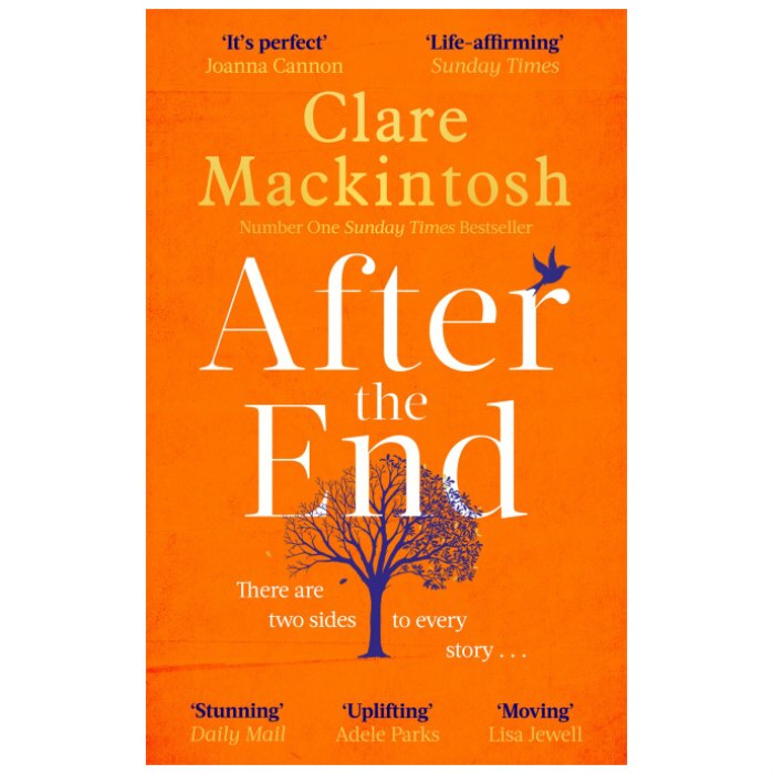 After the End - Clare Mackintosh