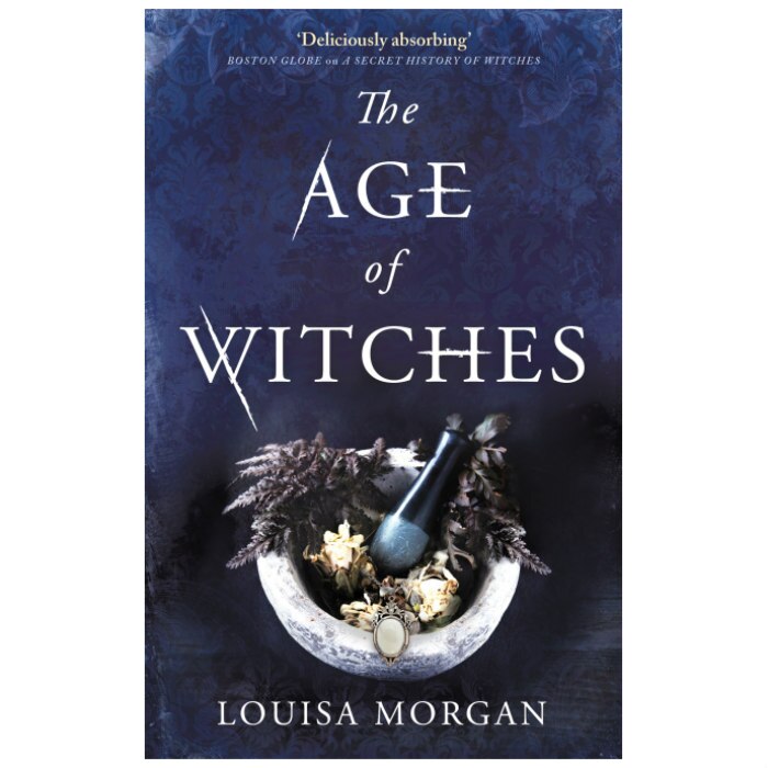 Age of Witches - Louisa Morgan
