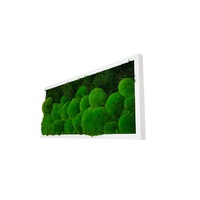 tablou muschi bombati si plati naturali de padure stabilizati jolie arts dimensiune 30 x 70 cm rama alba imagen 11_0_
0