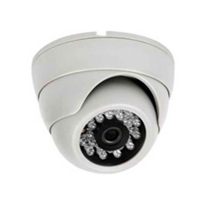 Camera supraveghere infrarosu dome 825