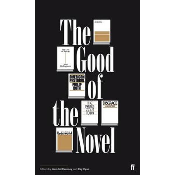 The Good of the Novel - Liam McIlvanney, Ray Ryan