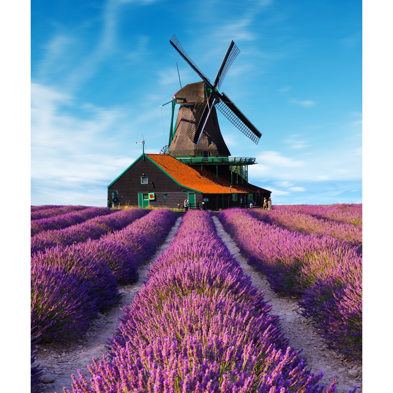 Autocolant Lavanda8, 135 x 225 cm