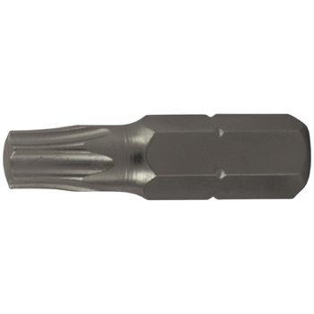 Varf Surubelnita S2 Torx EvoTools, Profil T30, Lungime 25 mm, Set 25 bucati Varf Surubelnita S2 Torx EvoTools, Profil T30, Lungime 25 mm, Set 25 bucati