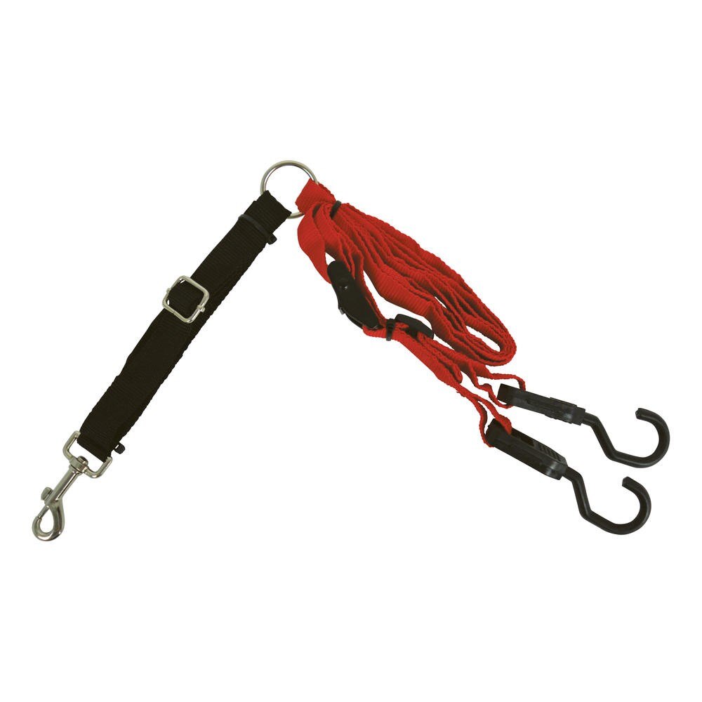 Centura de siguranta , pentru animale de companie , prindere pe manere , sustinere in interiorul masinii