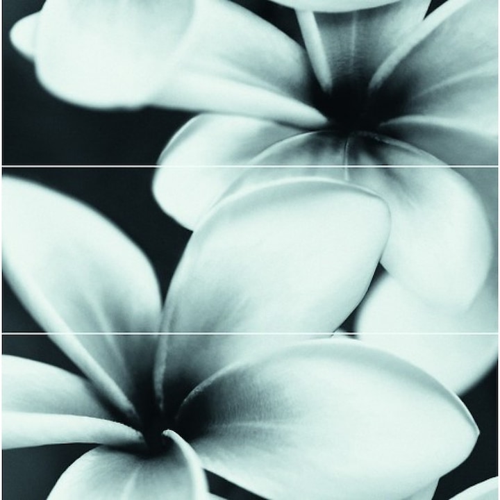 Faianta Decor Flower Grey Composition 75x75, Cersanit