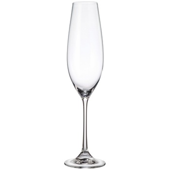 Set 6 pahare sampanie Bohemia Columba, cristalin, 260 ml Set 6 pahare sampanie Bohemia Columba, cristalin, 260 ml