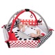 Активна гимнастика Canpol Sensory Toys, Многоцветен