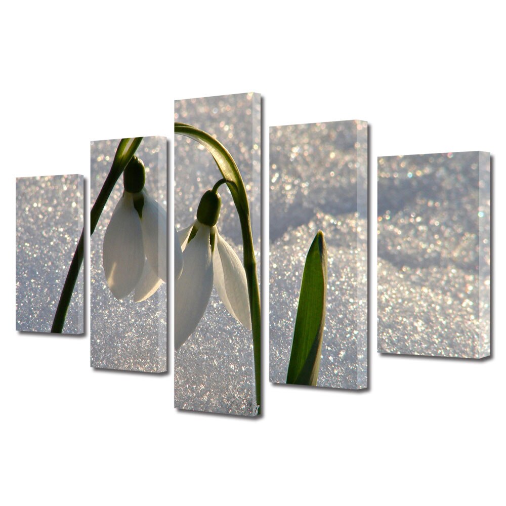 Set Tablouri Multicanvas BTex ArtDecoMag Modern 5 Piese Peisaje Doi Frati, 60 x 100 cm