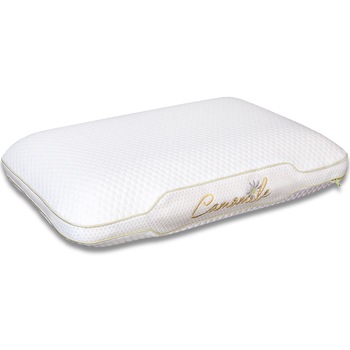 Perna TED Memory, Sleep Relax, husa detasabila, lavabila 60x40x12cm Perna TED Memory, Sleep Relax, husa detasabila, lavabila 60x40x12cm