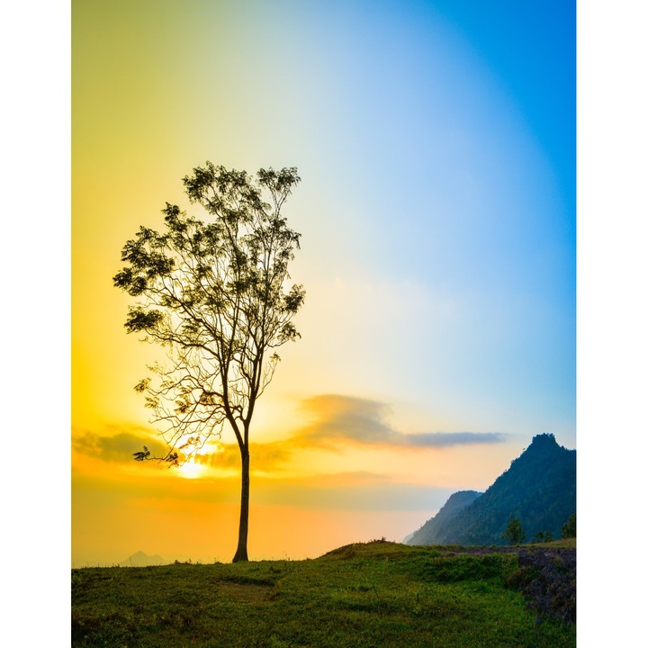 Fototapet de perete autoadeziv si lavabil Natura27, 135 x 225 cm