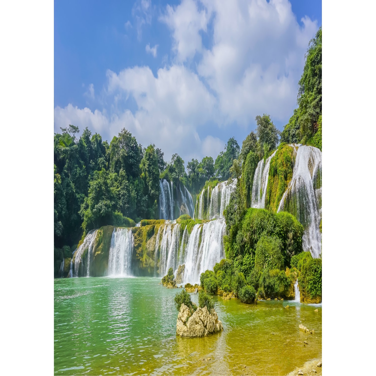 Autocolant Natura24, 135 x 225 cm