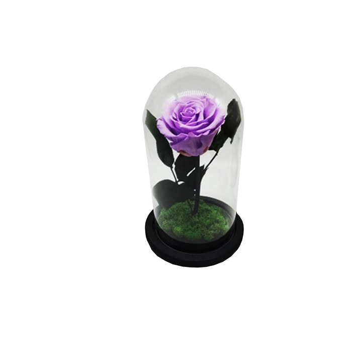 Crioflora Kupola kriogén rózsával, lila, 22 / 12cm