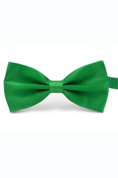 Papion cu aspect matasos, 12 x 7 cm, Green Papion cu aspect matasos, 12 x 7 cm, Green