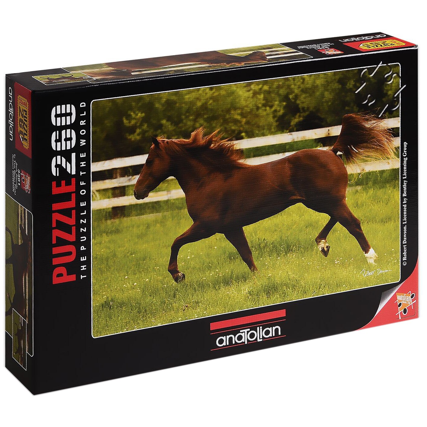 Puzzle Anatolian - In the open field, 260 piese