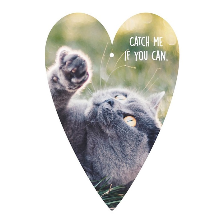 Card-tag Gespansterwald, Cat