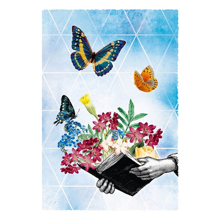 Felicitare - Carte, Gespaensterwald, Multicolor