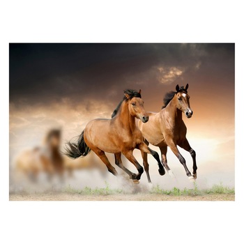 Fototapet Cai - BLH-05, 70 x 100 cm Fototapet Cai - BLH-05, 70 x 100 cm