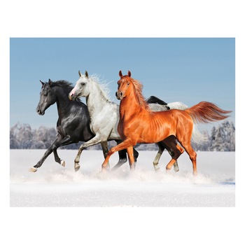 Fototapet Cai - BLH-50, 100 x 133 cm Fototapet Cai - BLH-50, 100 x 133 cm