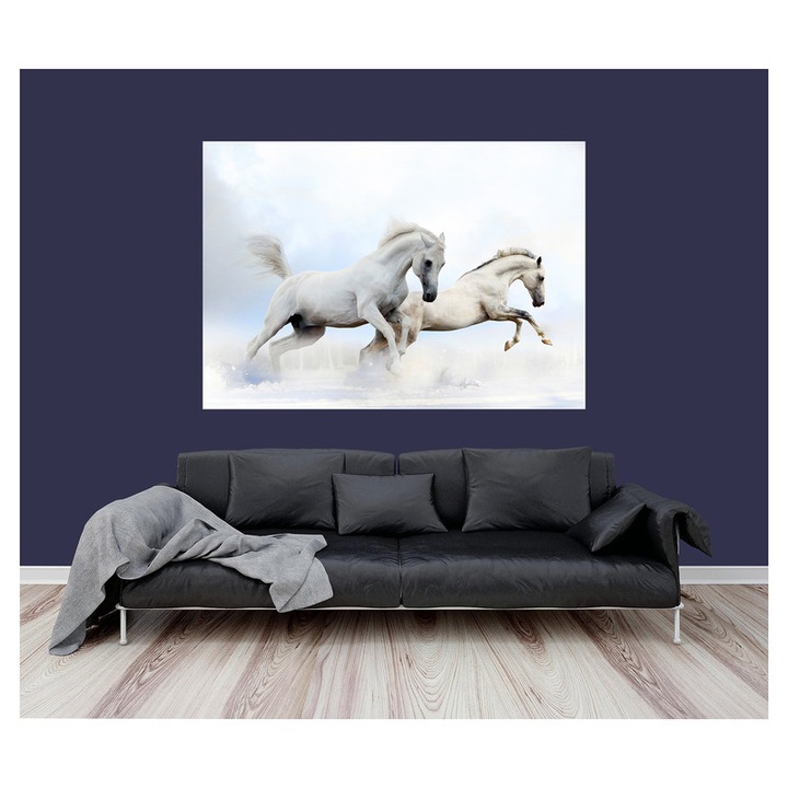 Fototapet Cai - BLH-47, 70 x 100 cm