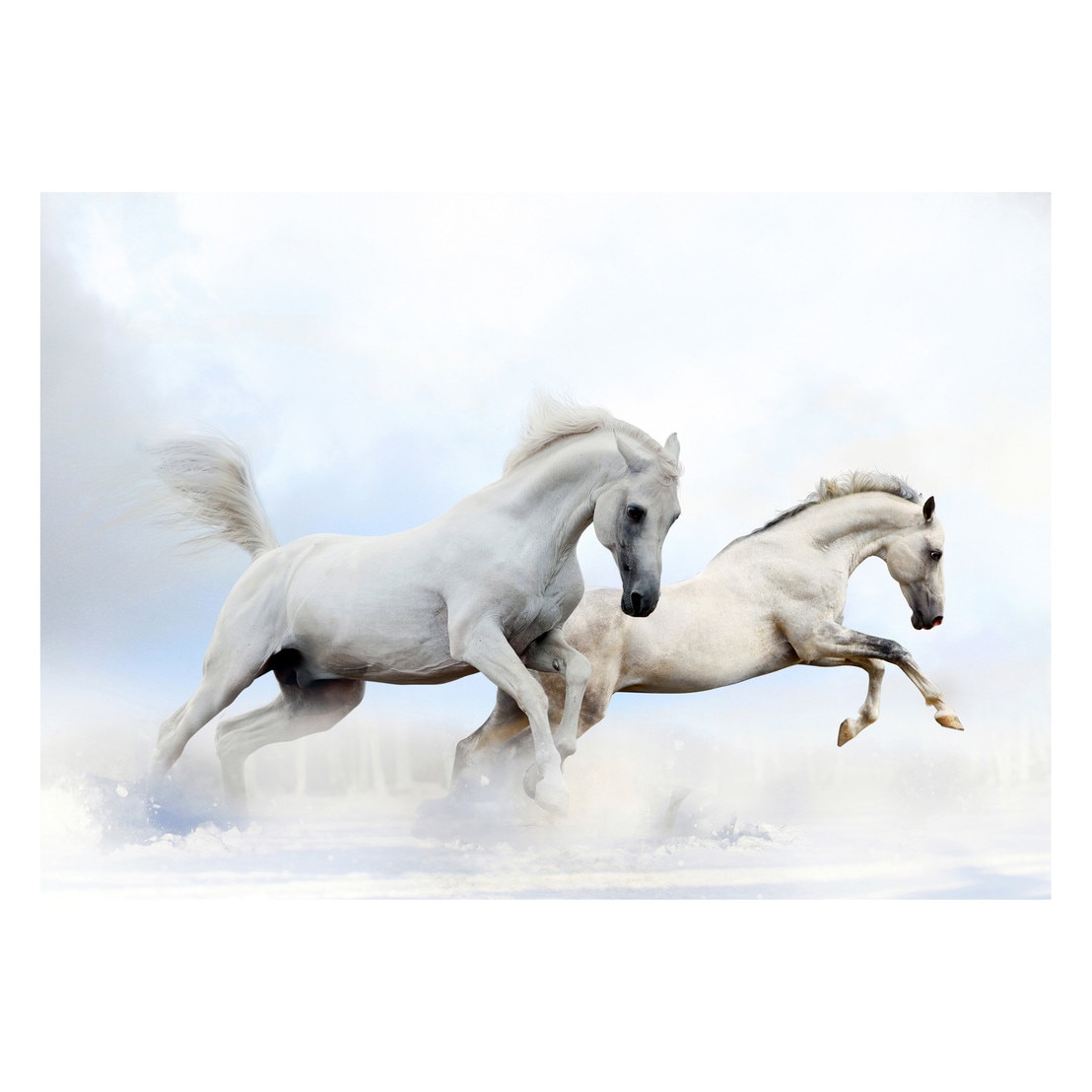 Fototapet Cai - BLH-47, 70 x 100 cm