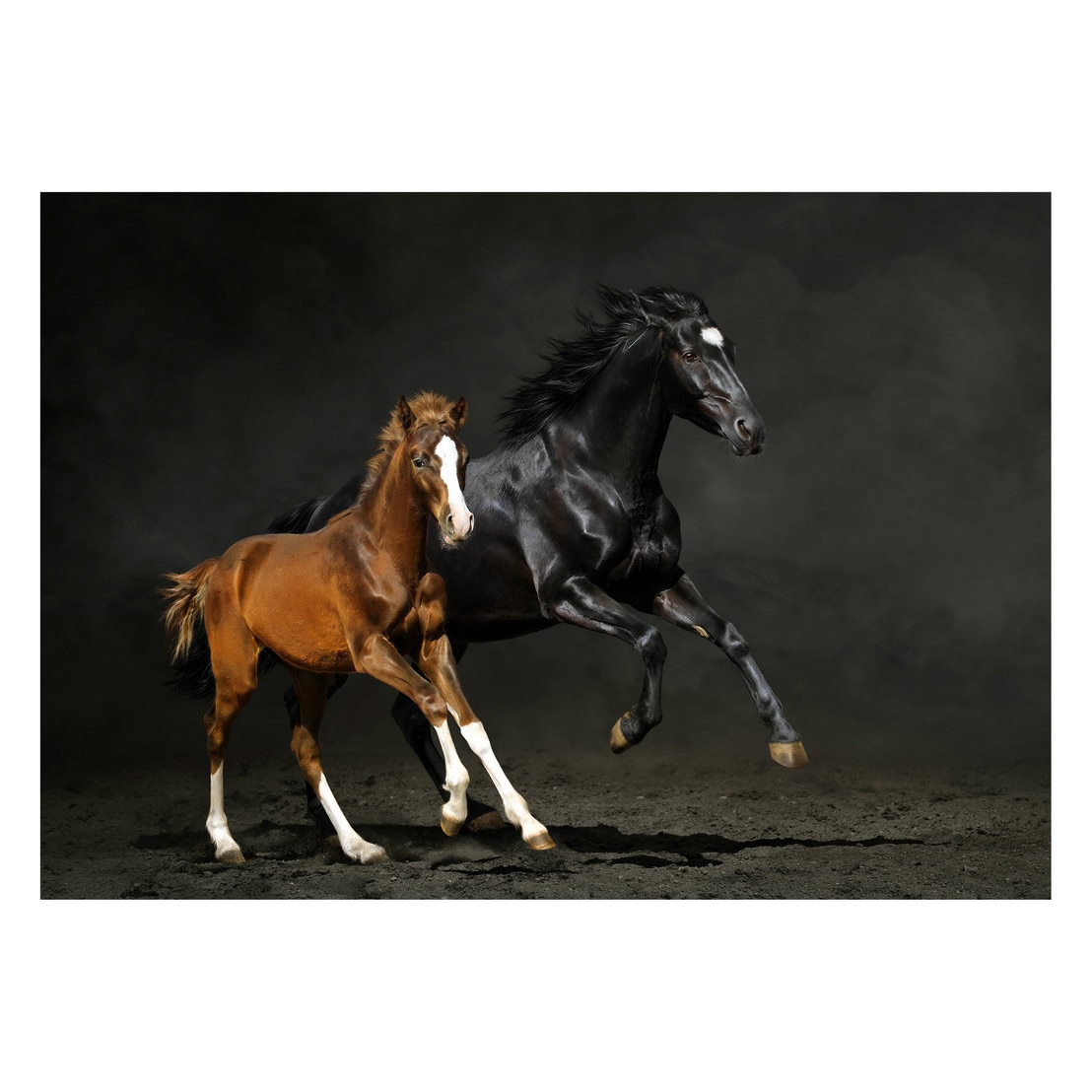 Fototapet Cai - BLH-24, 70 x 100 cm