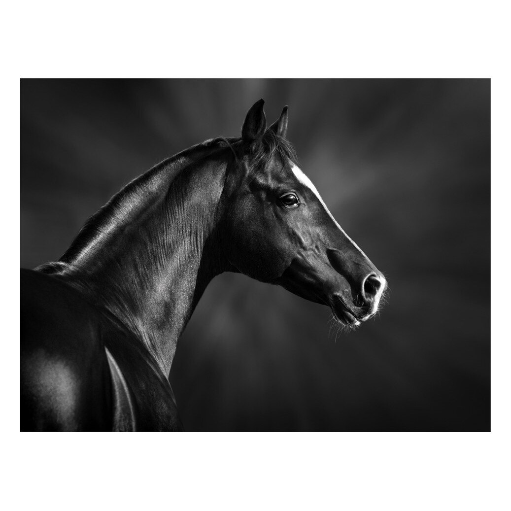 Fototapet Cai - BLH-49, 100 x 133 cm