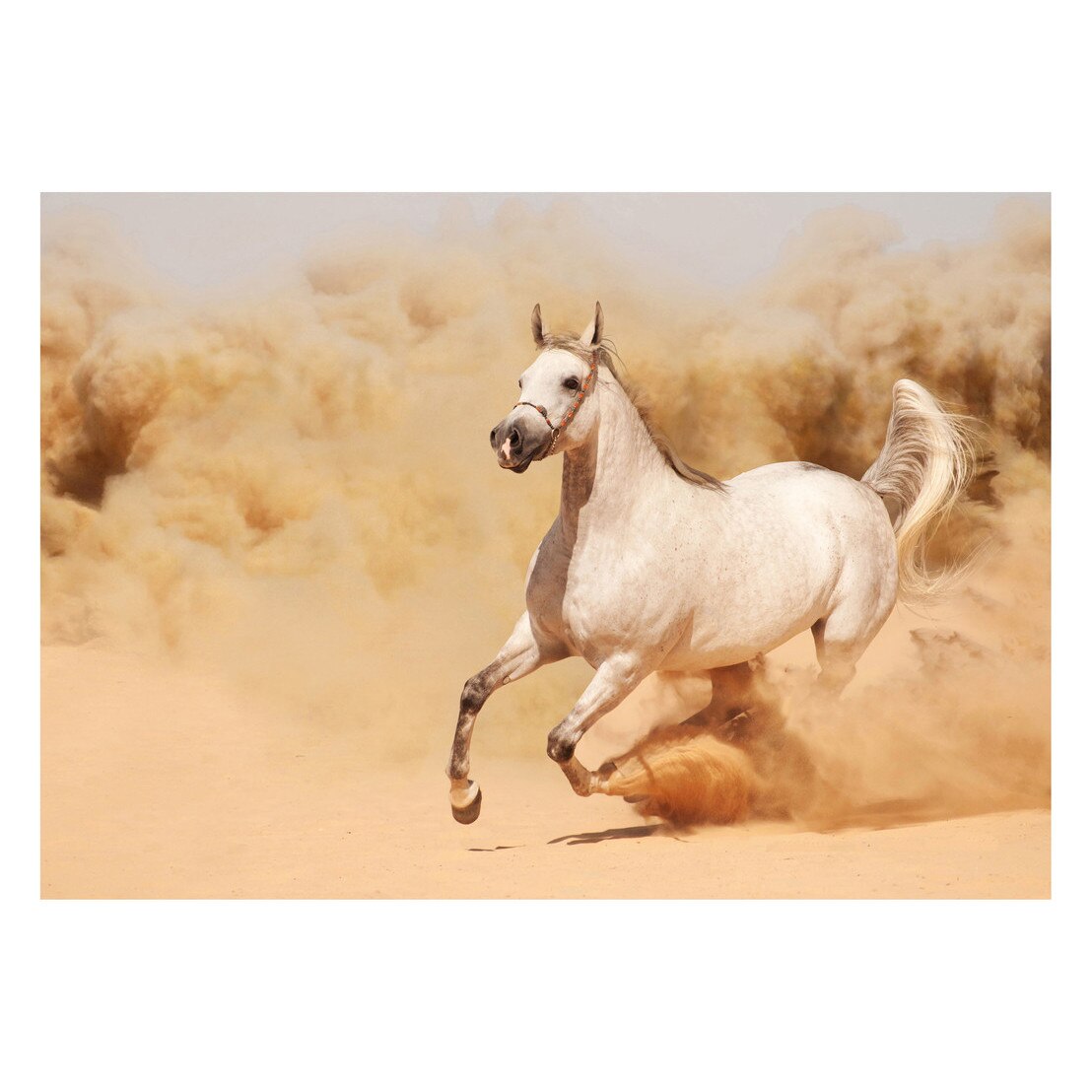 Fototapet Cai - BLH-17, 70 x 100 cm