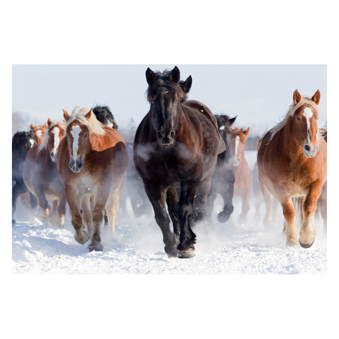 Fototapet Cai - BLH-40, 100 x 150 cm