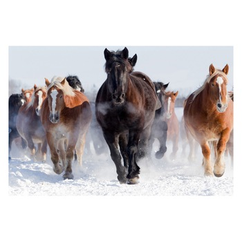 Fototapet Cai - BLH-40, 100 x 150 cm Fototapet Cai - BLH-40, 100 x 150 cm